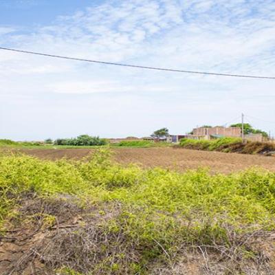 VENTA DE TERRENO DE 9315 M2 EN CARRETERA A PIMENTEL